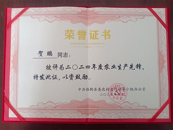 榮譽證書